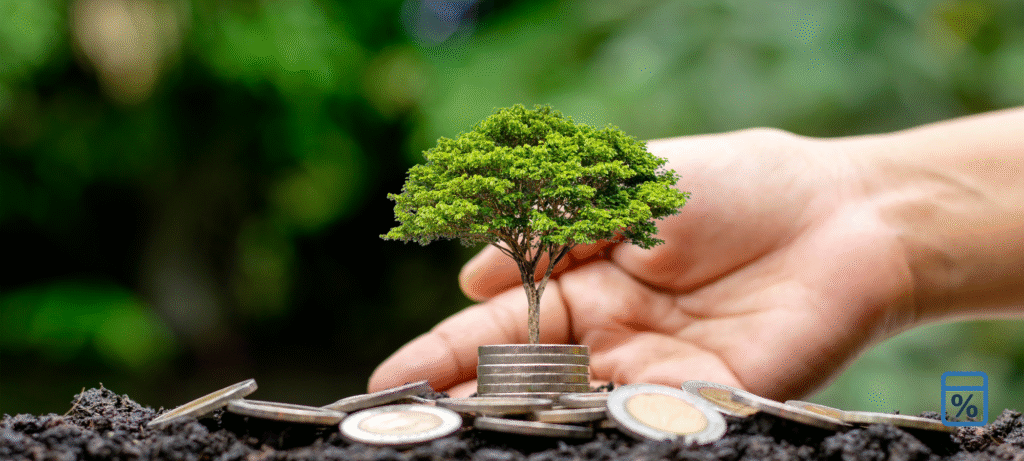 Sustainable Lifestyle Tips